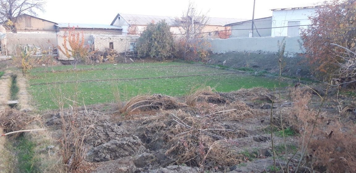Varq mfy yer maydoni sotiladi