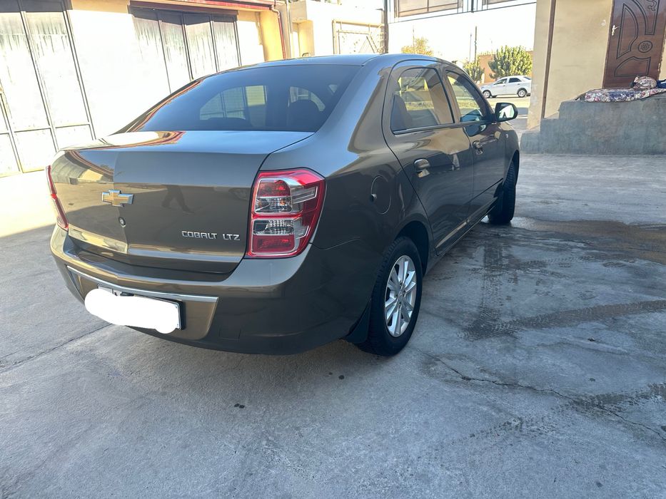 Kobilt zeus rangda toza