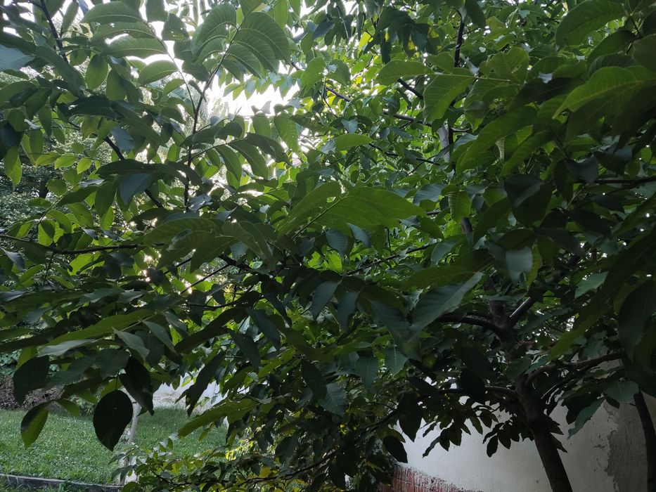 Дава се под наем  в София, Витоша - 10 кв.м за 127.5 € - Снимка #6