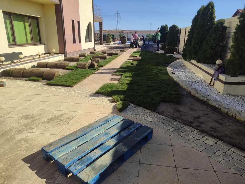 Gazon rulou 24 de lei m2. Transport și montaj inclus în preț.