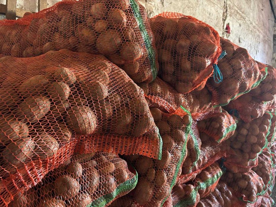 Vand cartofi pentru animale