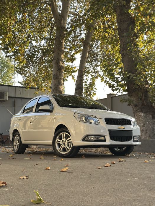 Nexia 3 kraska tozza