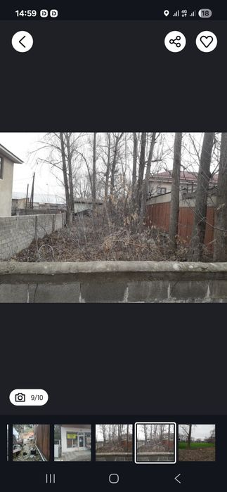 Бесплатно дрова дерево