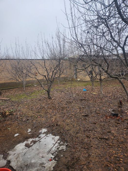 Продаеться свой дачный дом