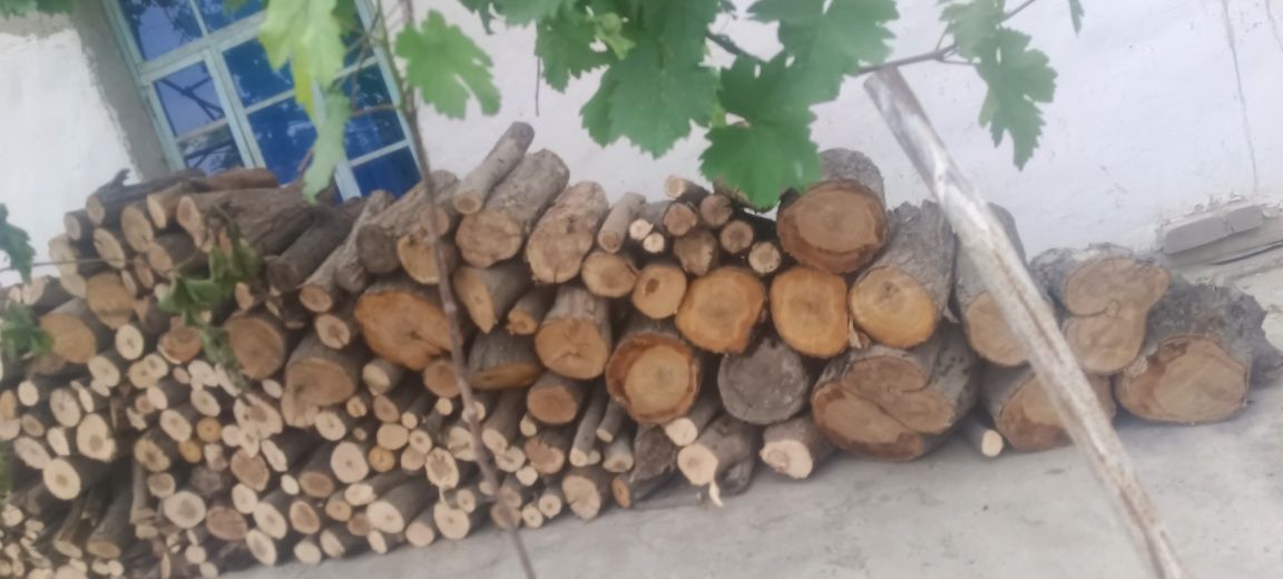Oʻtin sotiladi bir labo chiqadi