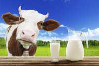 Домашнее молоко коровье