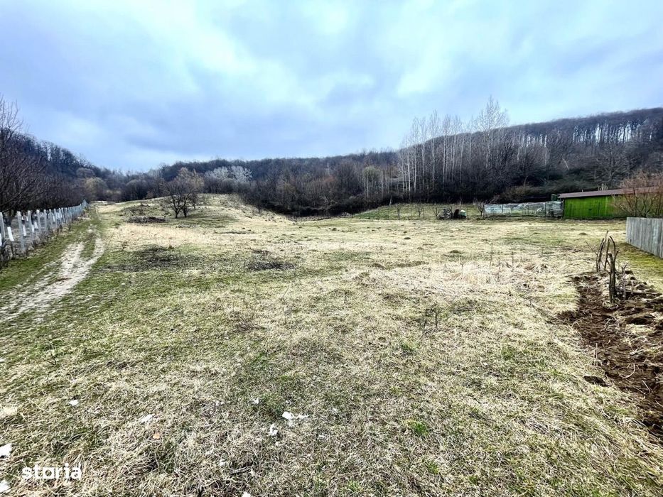 Teren De Vanzare - PODIS - DUBAS