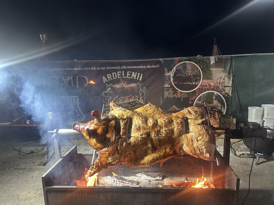 Porc , vitel si oaie facute la protap