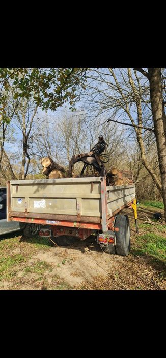 Remorca cu Macara Forestiera