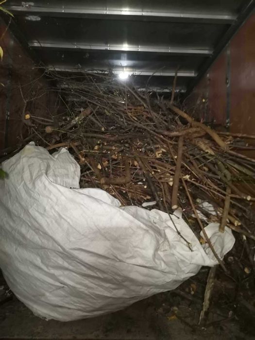 Изхвърляне на растителност 100-500лв (корени, храсти, клони и трева)