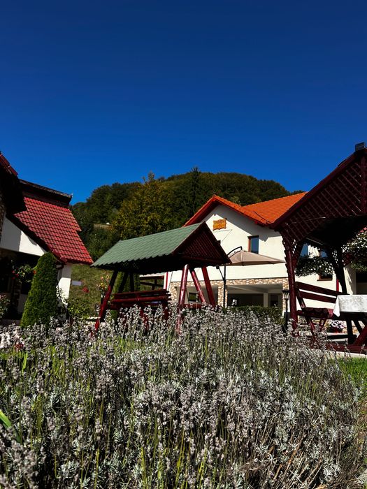 Cazare Casa Baciu