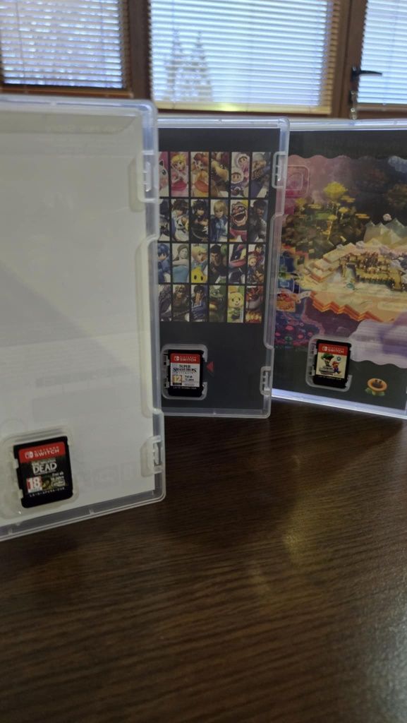 Nintendo _Switch