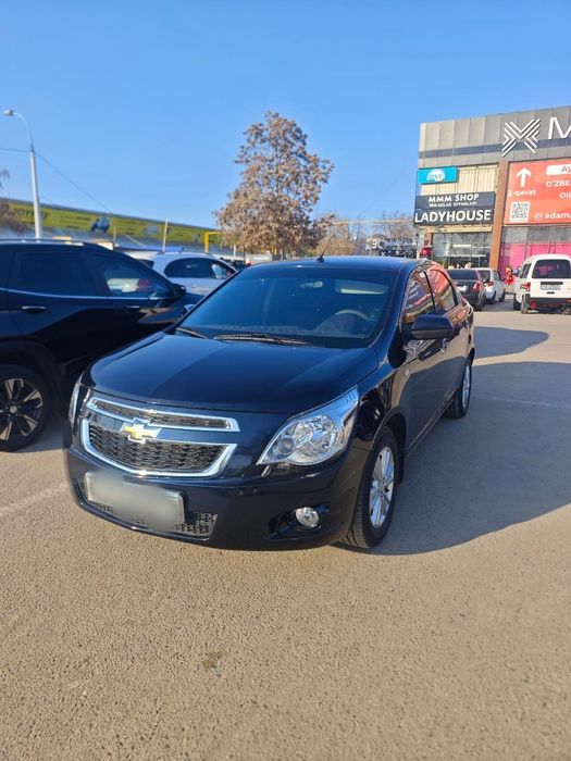 Cobalt Darkmoon 2023 24