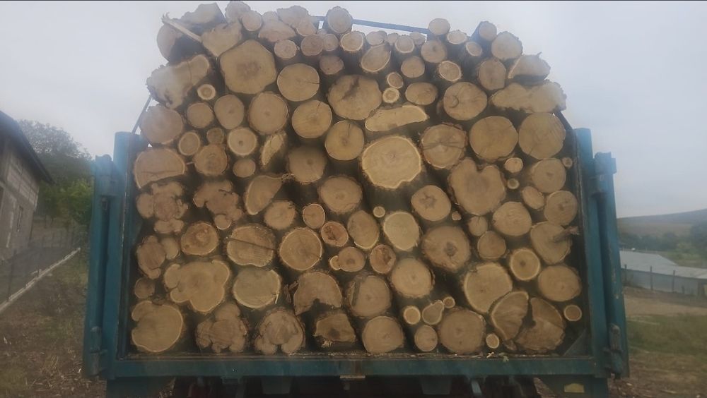 Lemn lemne de foc uscate tăiate crăpate