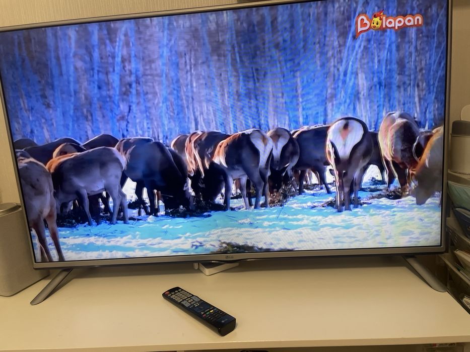 Телевизор LG 49 дианогаль