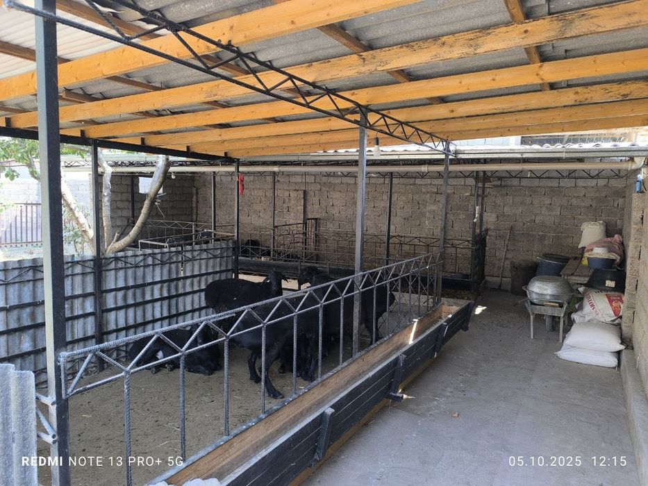 Xovli uyimiz sotiladi 8 sotiqa joylashgan