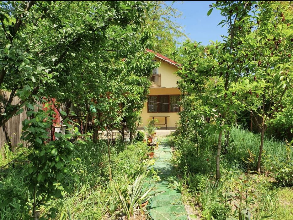 Teren Vanzare Andronache 200mp