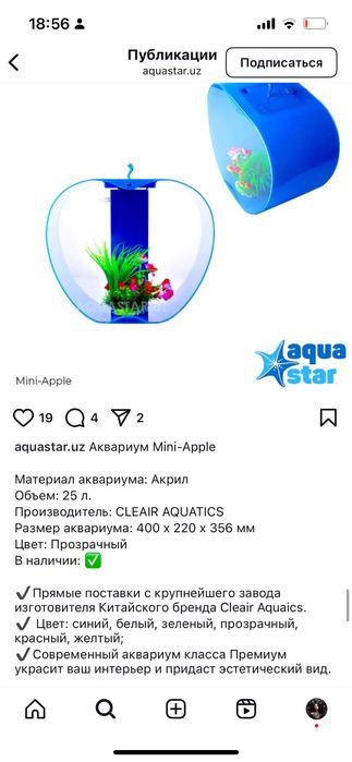 Аквариум современный