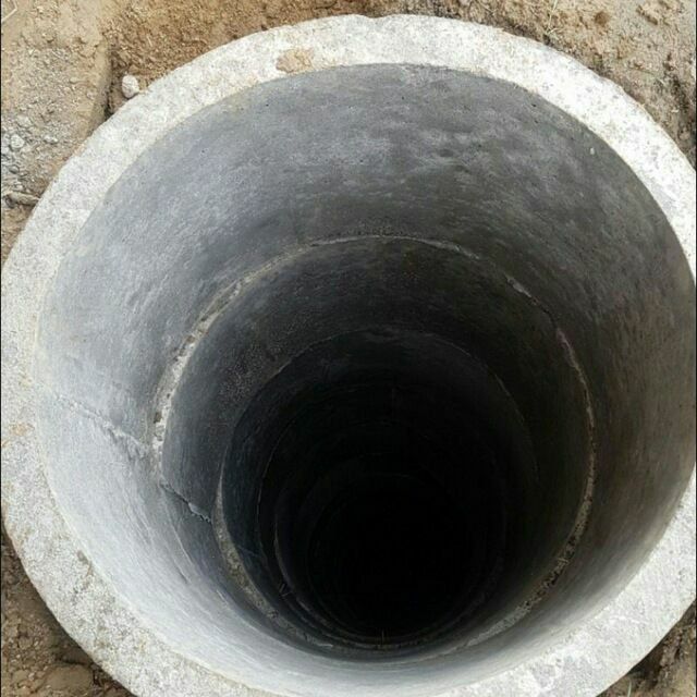 Kalodis bor xar xil turdagi