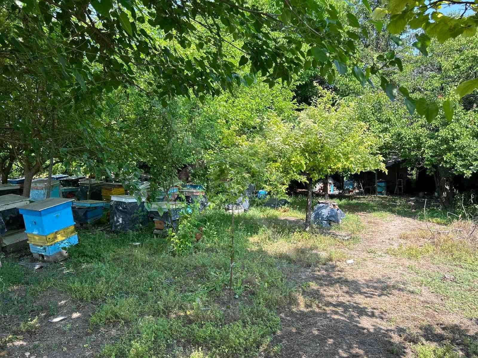 Къща в Конуш с 3000кв.м. двор