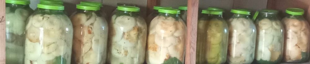 Продам грибы Грузди