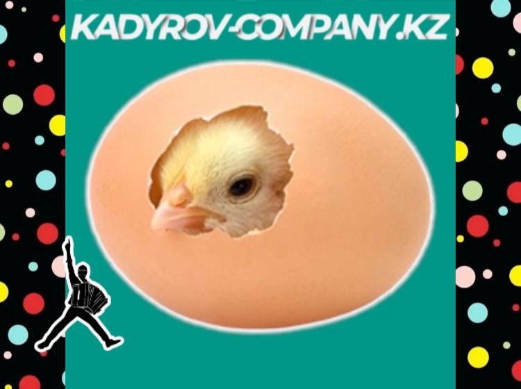 Инкубационное яйцо Ломан браун несушка привозной Россия ИЯ8