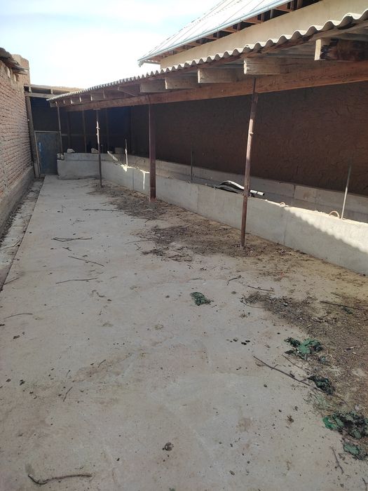 10sotix hovli kadastr hujjatlari joyida  sharoiti zor