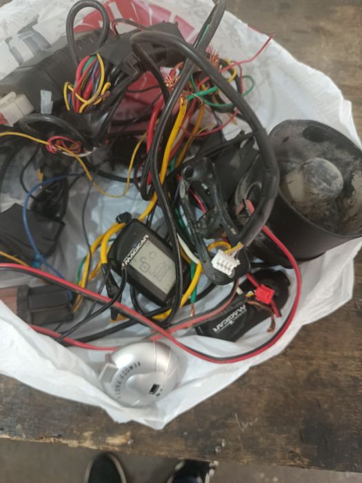 Mejikar 905 karea arginal