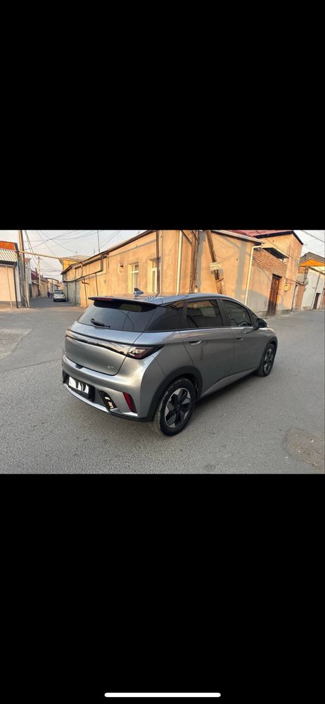 Srochna BYD Dolphin Sotiladi 2024