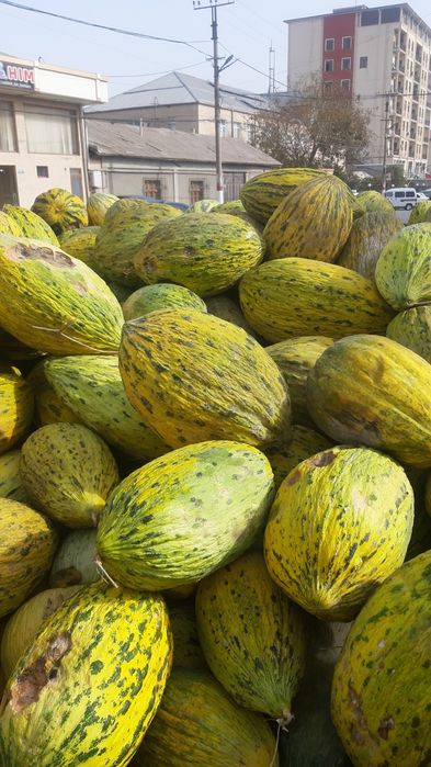 Qovun  optom narxlarda sotiladi  donasi 3000 ming