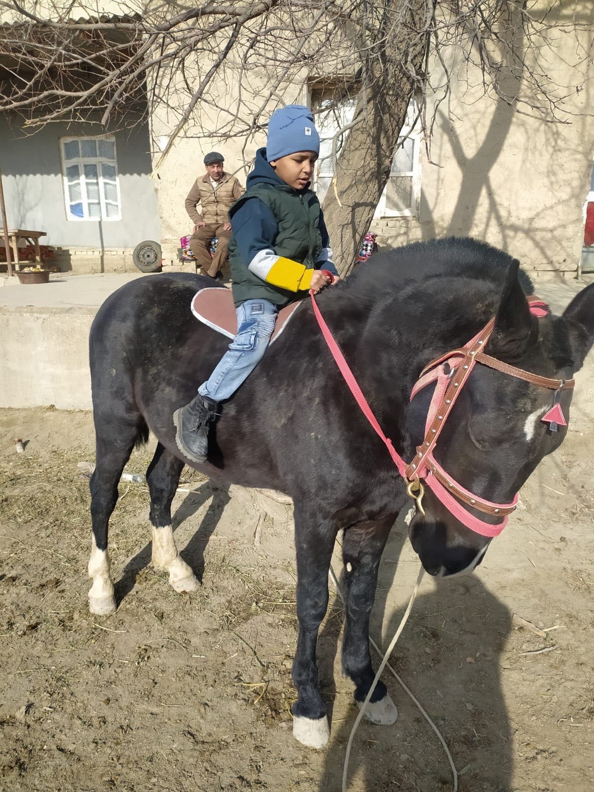 Чиройли Той сотилади