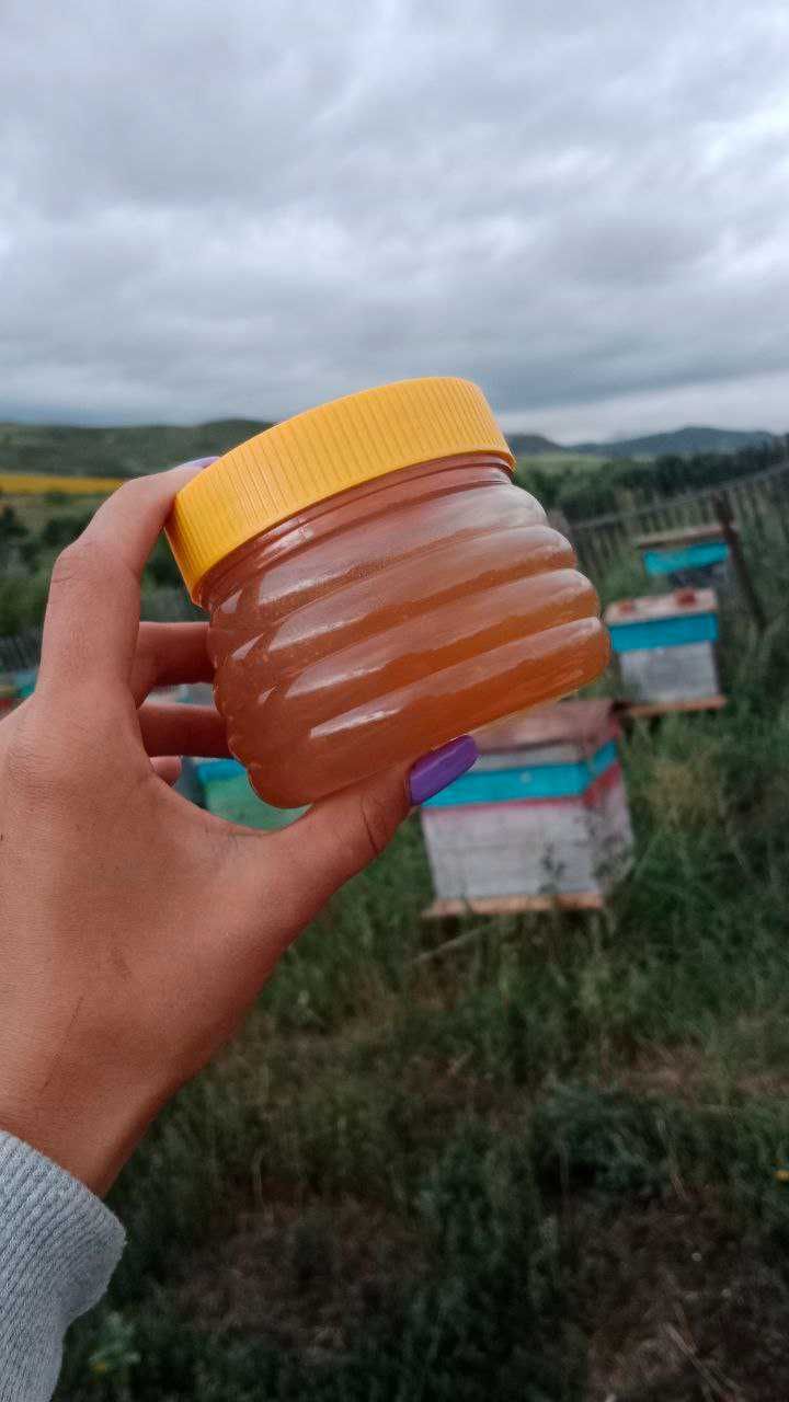Мёд Восточно-Казахстанский