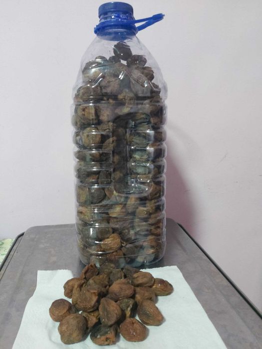 Курага сухофрукты урик turshak qoqi