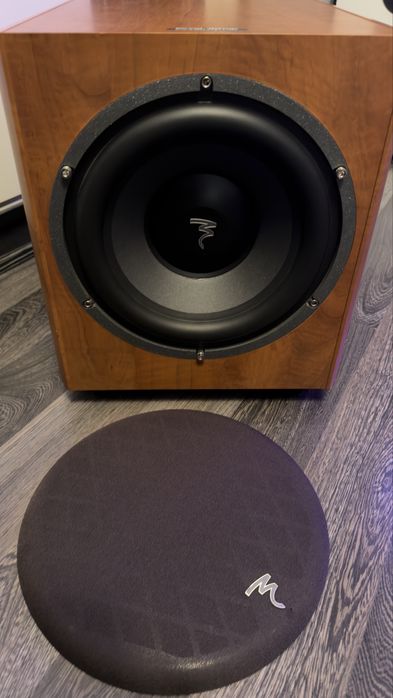 Focal 10 inch subwoofer