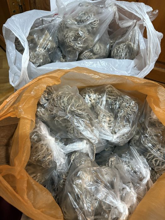 Лечебный чай Каф Марьям Алматы