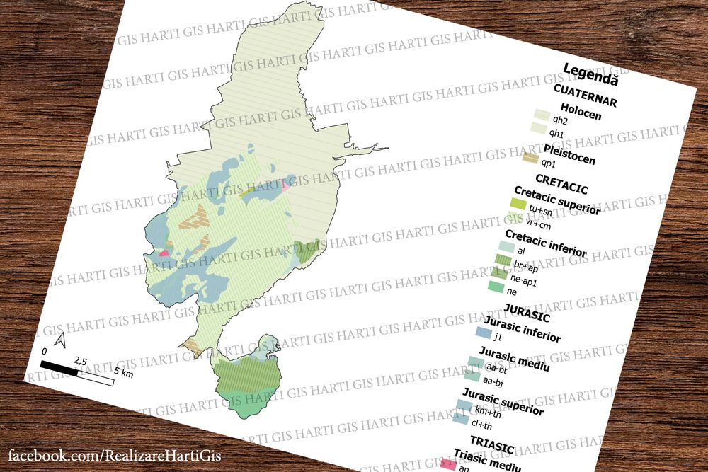 Harti gis licenta/master geografie. Proiecte Microsoft Excel