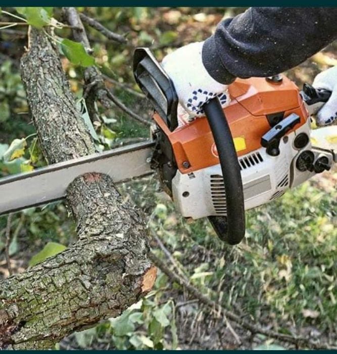 Cosit, defrișat terenuri curți și grădini