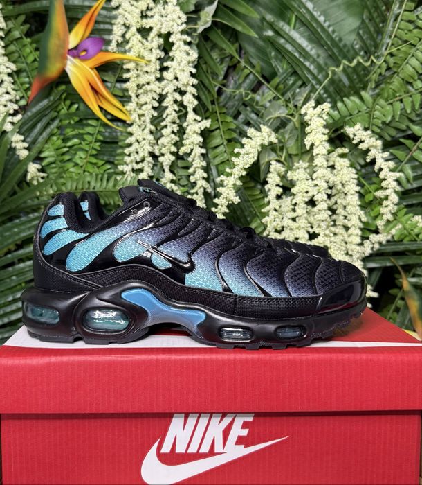Nike Air Max Plus TN Black Dusty Cactus