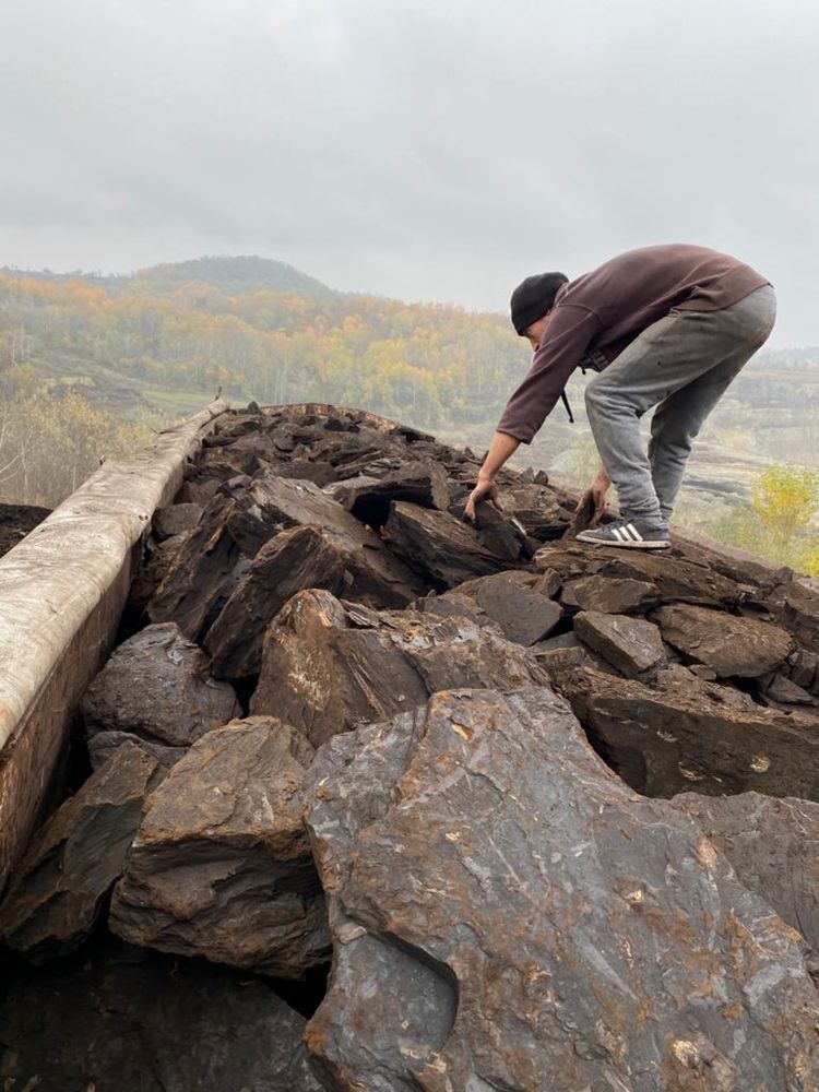 Carbune lignit(aduc in toata tara)