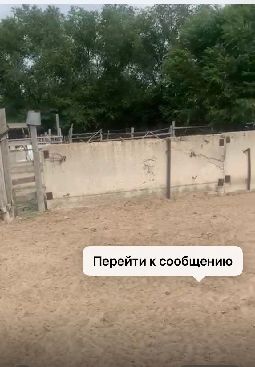 Фазенда сатамынн