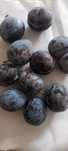 Prune  de  consum