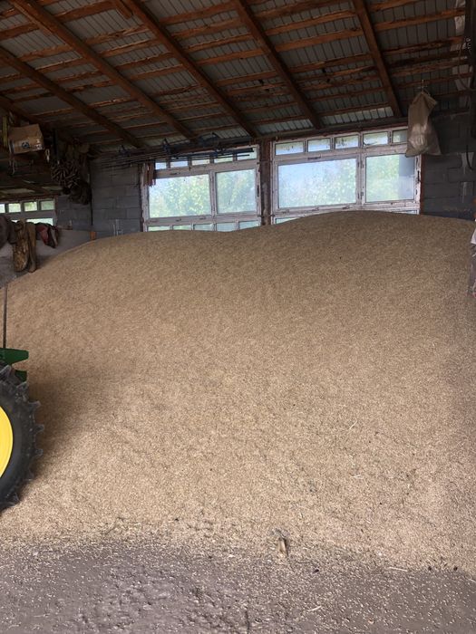 Orz 2025 Sauca curat bun de samanta