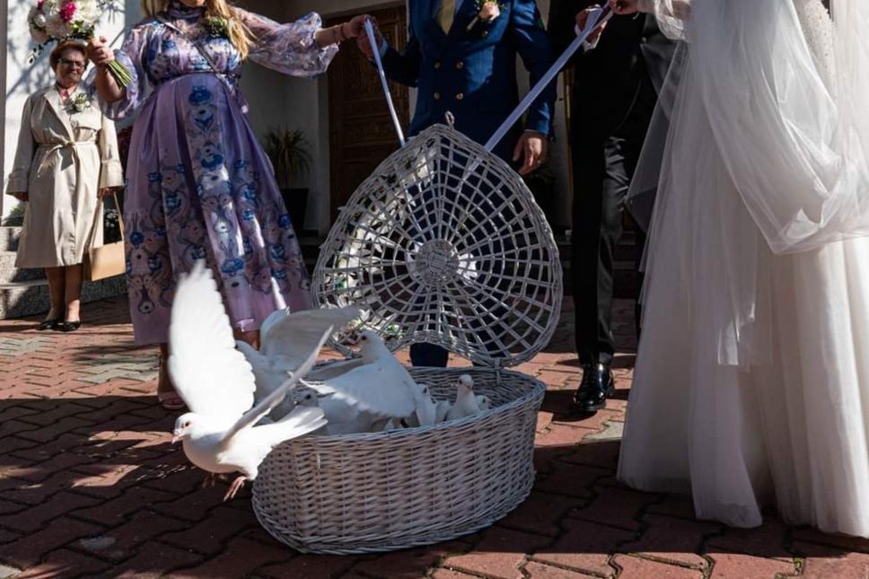 Porumbei albi pentru nunta