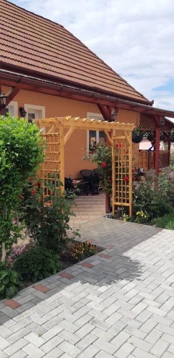 pergola trandafir