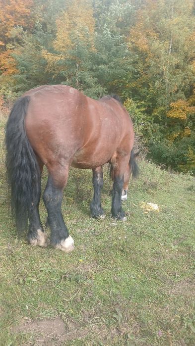 Vand ce se vede mai multe detali la telefon