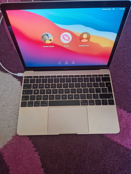 Defect MacBook A1534 EMC 2991