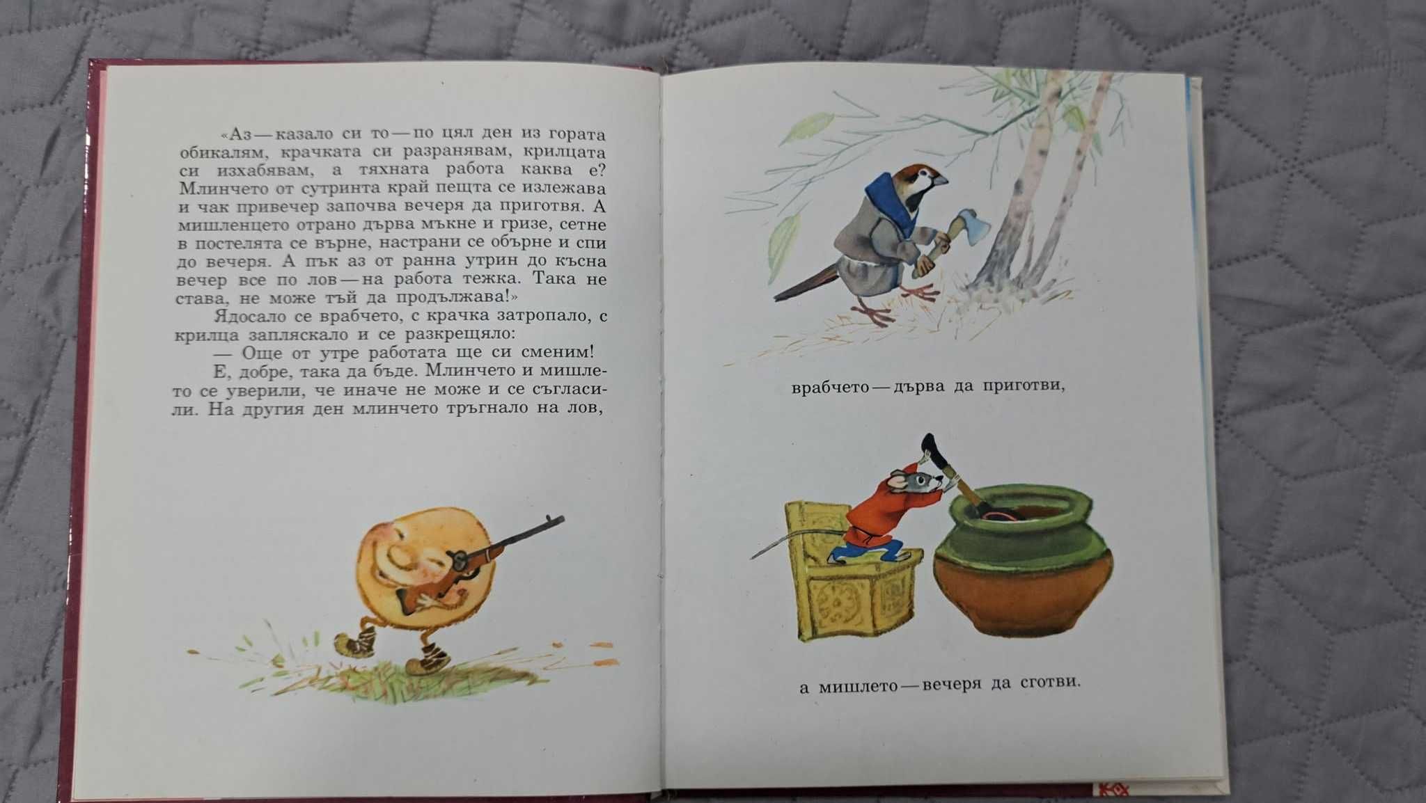 Книжка с детски приказки Котаран-мърморан