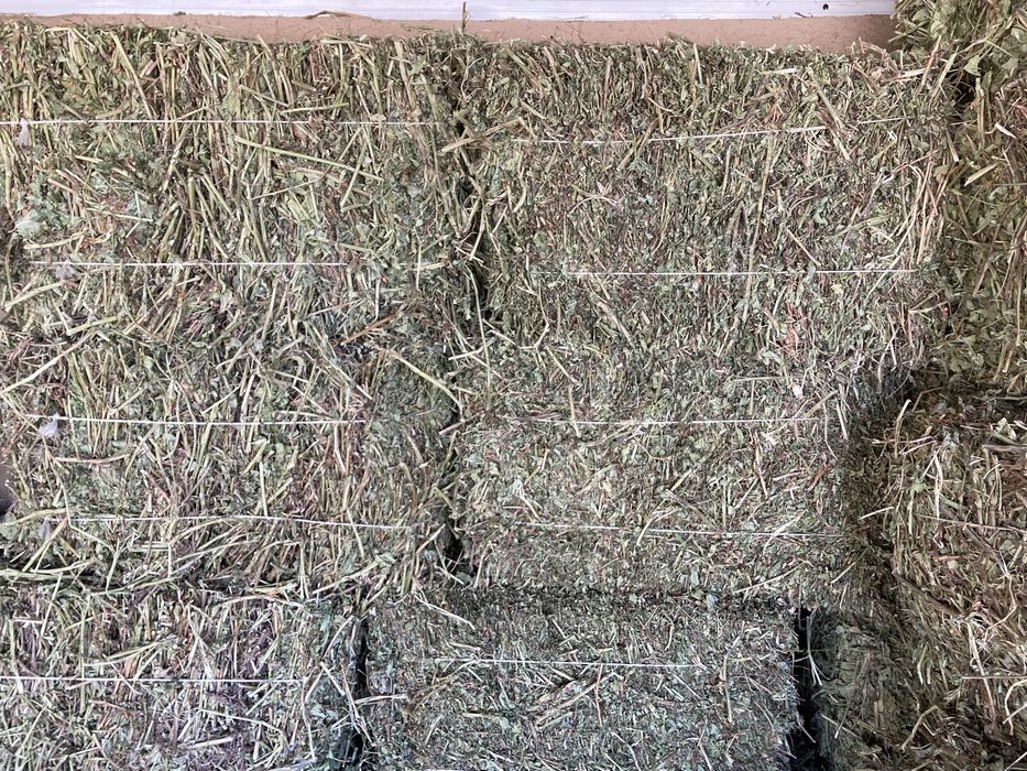 Беда, Сомон, Пичан, Ер ёнгок, Мош пресс,Янток,