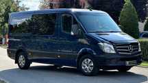 Mercedes-Benz Sprinter 316 CDI 8+1 Locuri 163 C,P An 2015 Euro 5