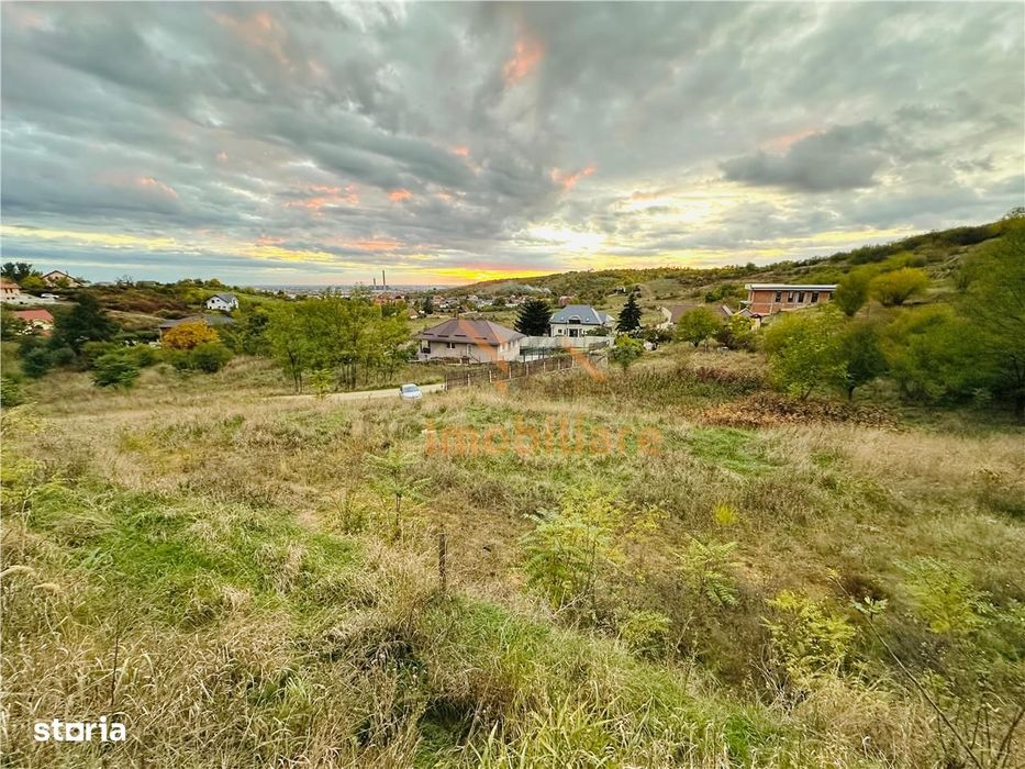 Teren Intravilan, 950 Mp, Zona Paleu, Strada Padurii